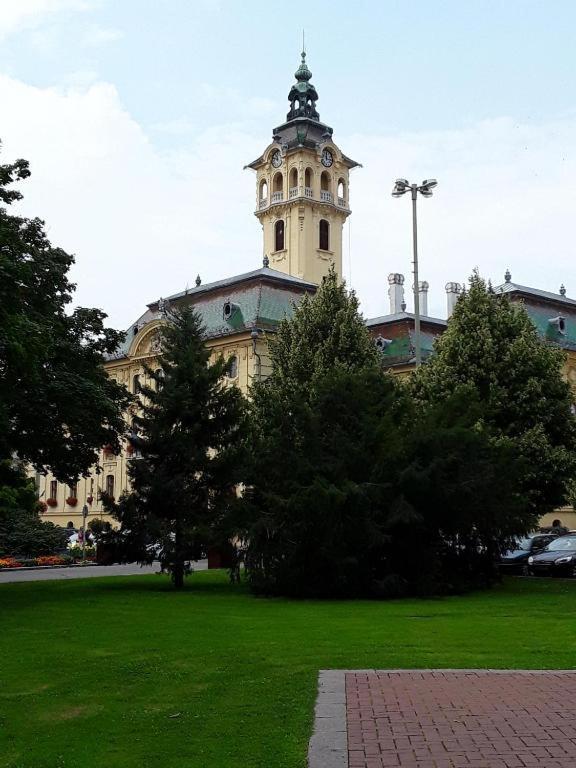 Tomka Apartman Segedin Dış mekan fotoğraf